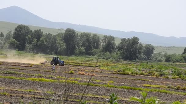 Working the Land, Tractor tilling the soil in early spring — Stock Video