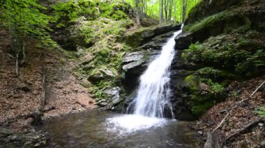 şelale tropik cenneti (hd loop), yemyeşil orman tropik şelale
