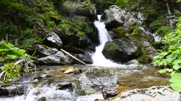 Cascada en bosque profundo, Increíble vista sobre una cascada, Macedonia — Vídeos de Stock