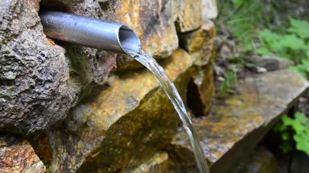 HD: Primavera di acqua minerale in Foresta , — Video Stock