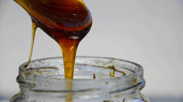 Honing wordt gegoten in een kristal kom — Stockvideo