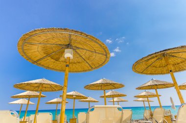 boş seaside Beach hasır şemsiyeler