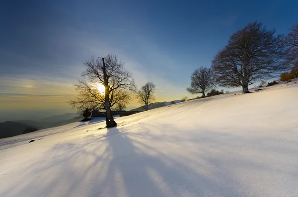 Vacker vintersolnedgång med träd i snön — Stockfoto