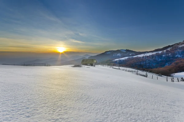 Casa de ovelhas em neve fria gelada — Fotografia de Stock