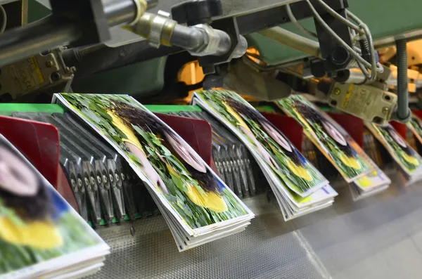 broşür ve süreç dikiş dergisi