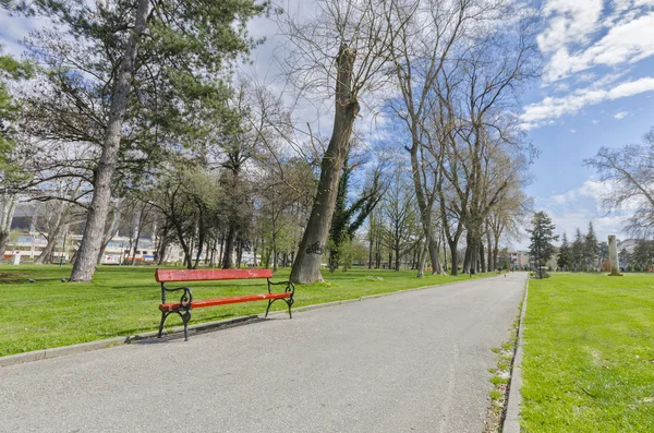 Abandoned Bench in a spring park — Stock Photo, Image