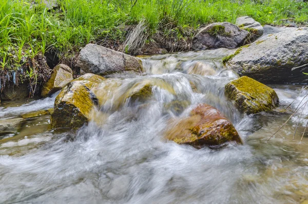 Mountain stream — Stock Photo, Image