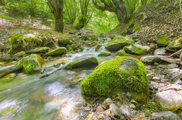 Corriente de montaña — Foto de Stock