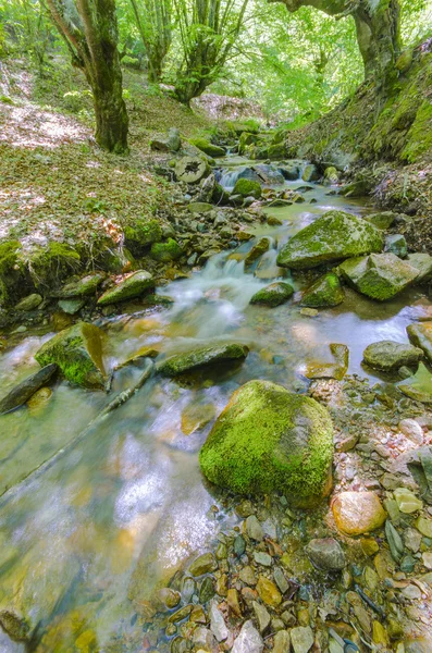 Bergbeek — Stockfoto