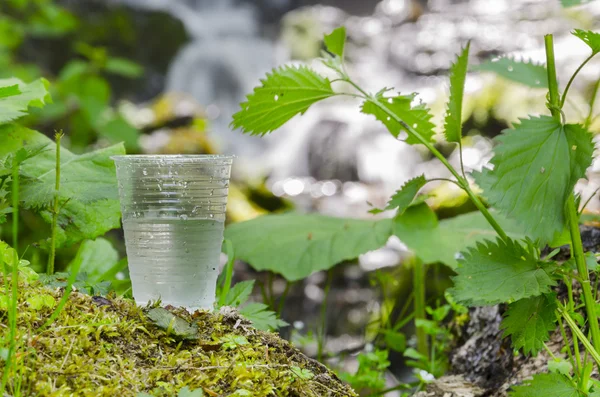 葉のぼやけ滝の近くの水を飲むガラス — ストック写真