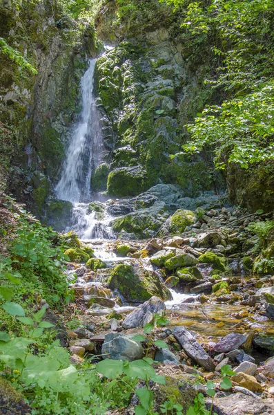Tropiskt vattenfall i regnskog — Stockfoto
