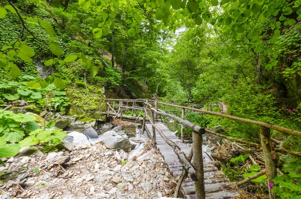 Puente de madera sobre arroyo en bosque otoñal —  Fotos de Stock