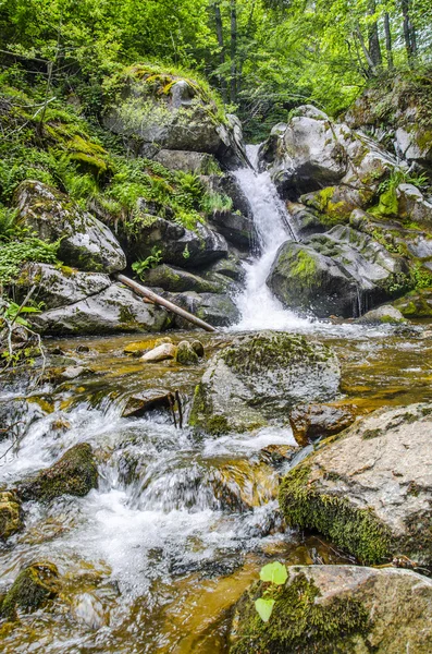 Waterfall in forest — Stock Photo, Image