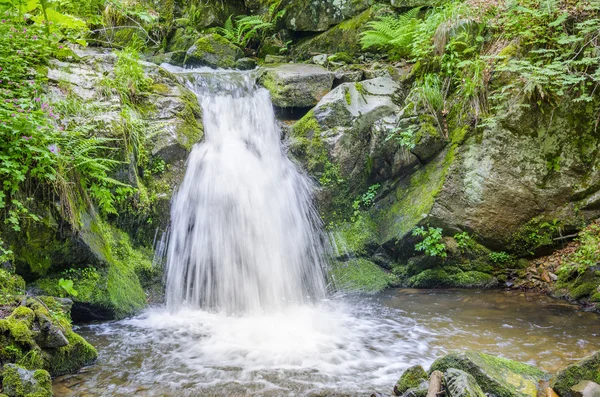 Wasserfall im Wald — Stockfoto