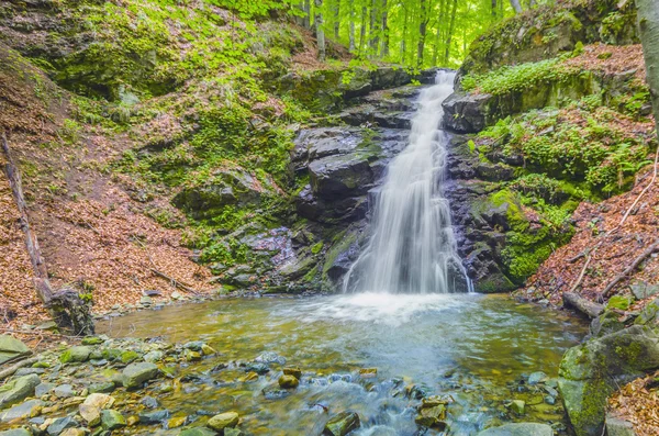 Waterfall in forest — Stock Photo, Image