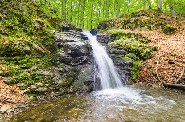 Wasserfall im Wald — Stockfoto