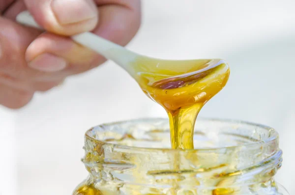 Honig tropft — Stockfoto