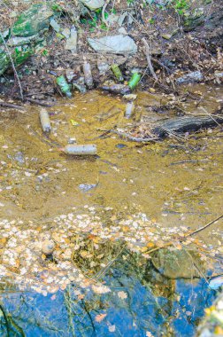 Çöp nehir yüzeyi
