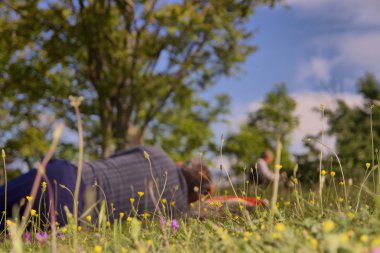 İhtiyar bir çayır çim yatan