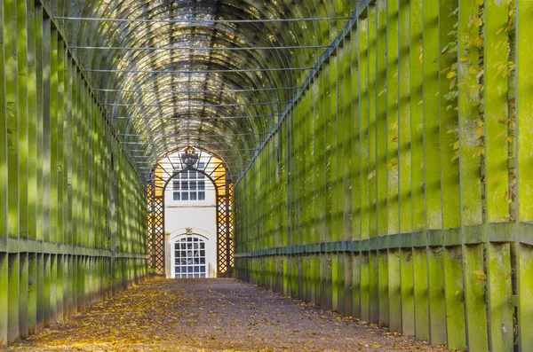 En trädgård tunnel i london, england — Stockfoto