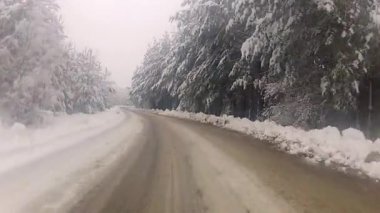 kış orman yolda araba