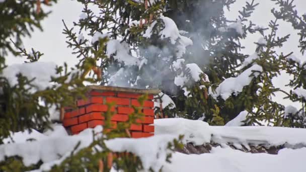 Fumar da chaminé no inverno — Vídeo de Stock