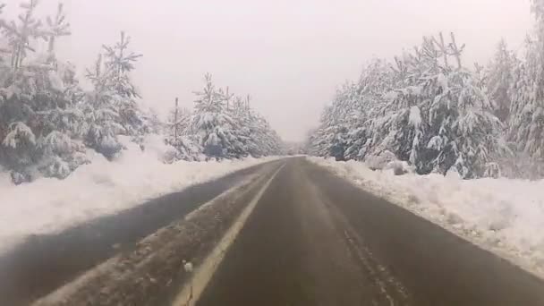 Condução na neve — Vídeo de Stock