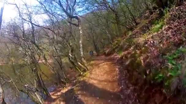 Idąc przez liana w lesie ścieżki — Wideo stockowe