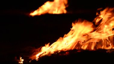 gerçek ahşap ve bacakları ile ateş yakmak.