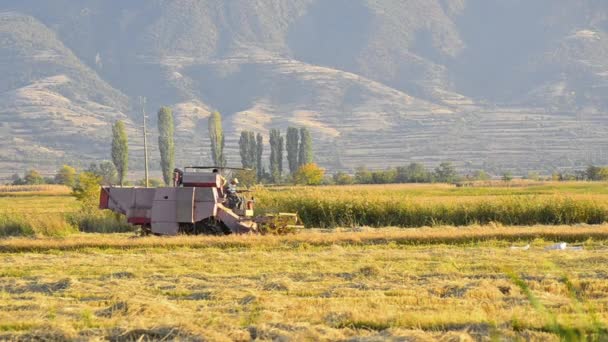 Combinar en el campo — Vídeo de stock