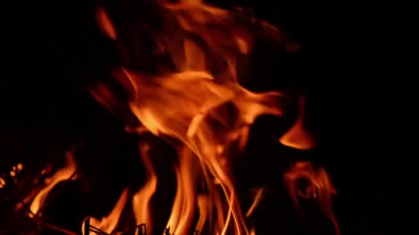 Echtes Feuer mit Holz und Beinen verbrennen. — Stockvideo