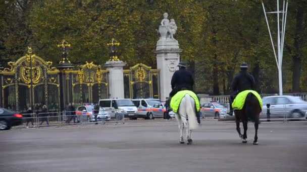 Polizei auf Pferden — Stockvideo