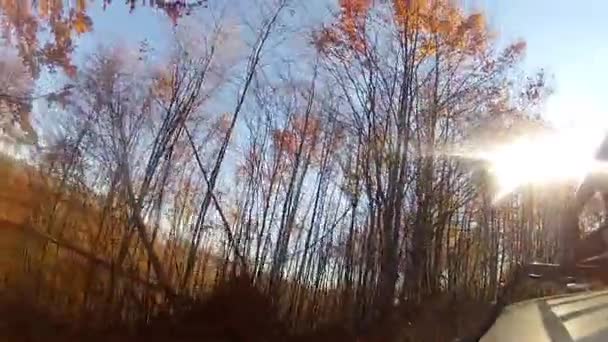 Проїжджаючи Редвуд осінній ліс — стокове відео