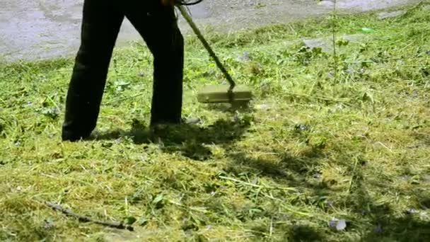 Corte de césped con cortadoras de césped de alambre — Vídeos de Stock