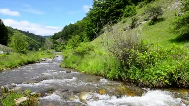 Mountain Stream — Stock Video