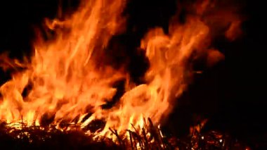 ateş gerçek yanık ateş yakmak