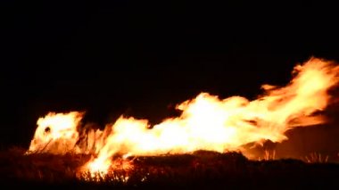 ateş gerçek yanık ateş yakmak