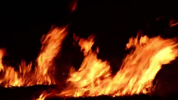 Verbrennen Feuer echtes verbrennen Feuer — Stockvideo