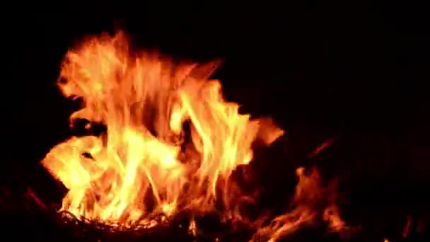 Verbrennen Feuer echtes verbrennen Feuer — Stockvideo