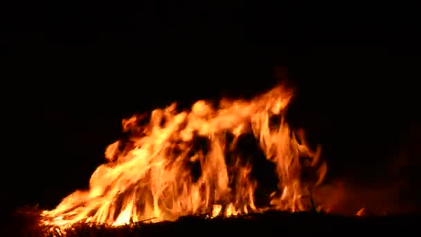 Fuego quemado Fuego quemado real — Vídeo de stock