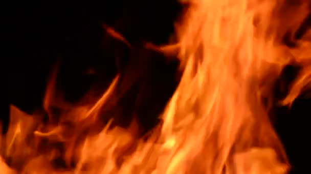 Brûler le feu réel Brûler le feu 