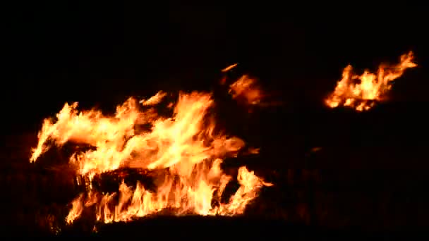 Verbrennen Feuer echtes verbrennen Feuer — Stockvideo