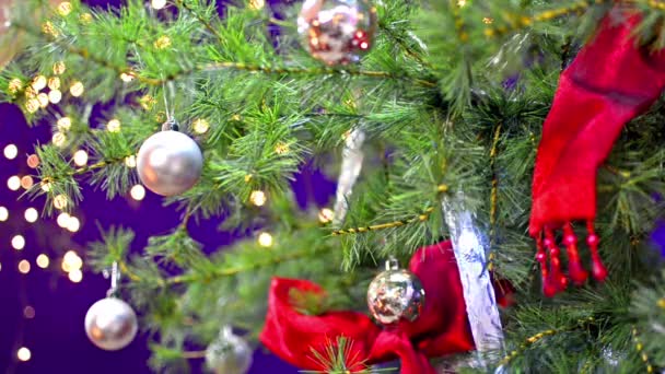 Pohon Natal — Stok Video