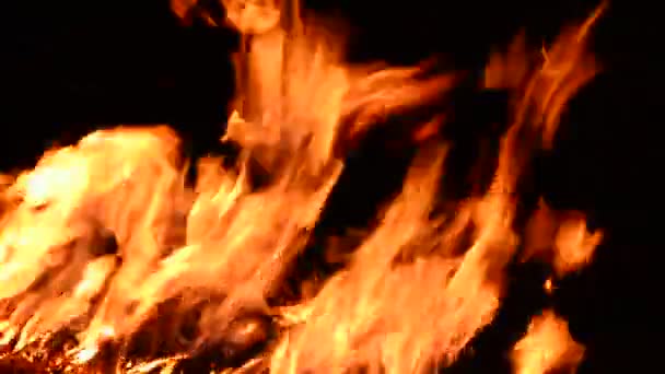 Burn fire Real Burn fire — Stock Video