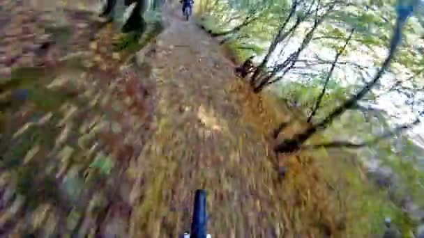 Monte motociclista conducir cuesta abajo en lo profundo del bosque — Vídeo de stock