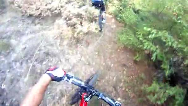 Mountain bikers — Stock Video