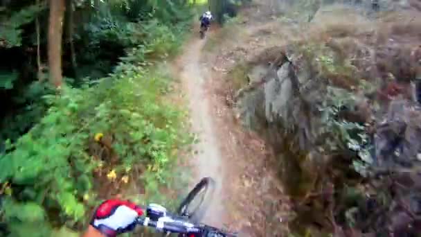 Downhill on mountain bike — Stock Video