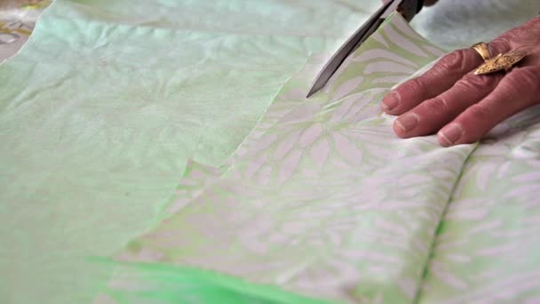 女裁缝切割用剪刀材料 — 图库视频影像