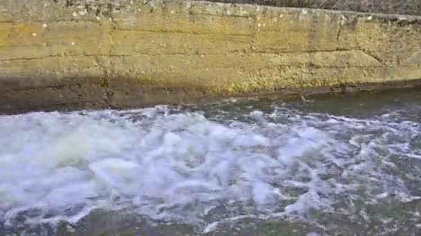 Water Spouts Gushing — Stock Video
