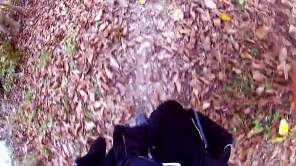 Caminando en el bosque — Vídeo de stock